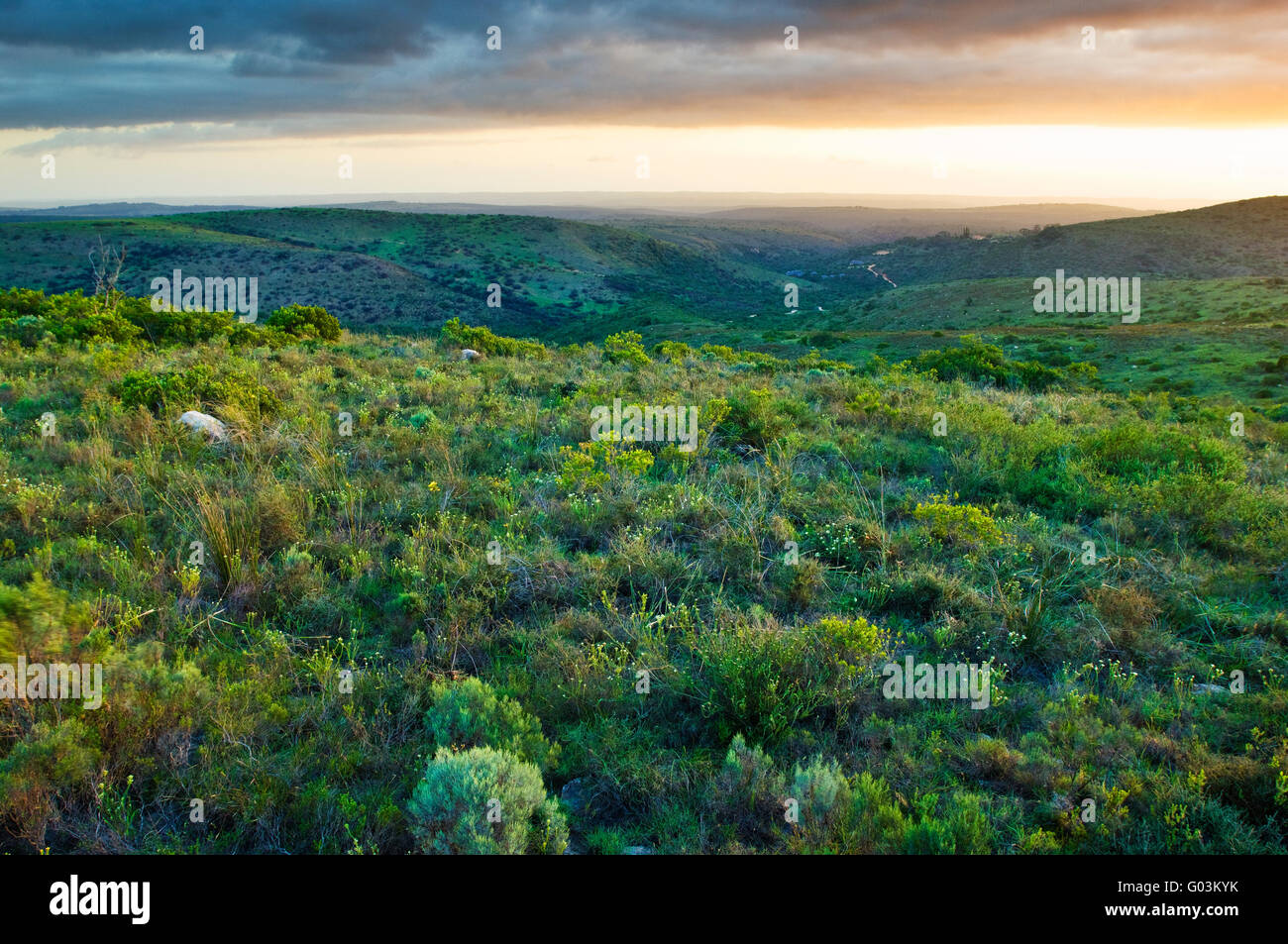 Coucher de soleil sur le Cap oriental Highland dans le Lalibela Game Reserve près de Grahamstown, Afrique du Sud Banque D'Images