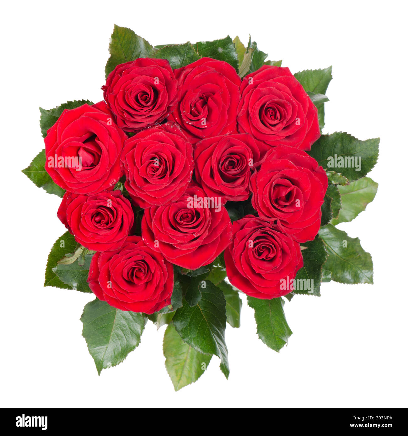 Bouquet de roses rouges isolé sur fond blanc Banque D'Images