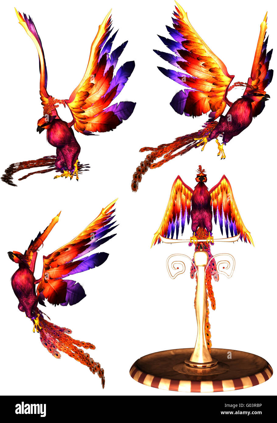 Un puissant pack phoenix - isolated on white Banque D'Images