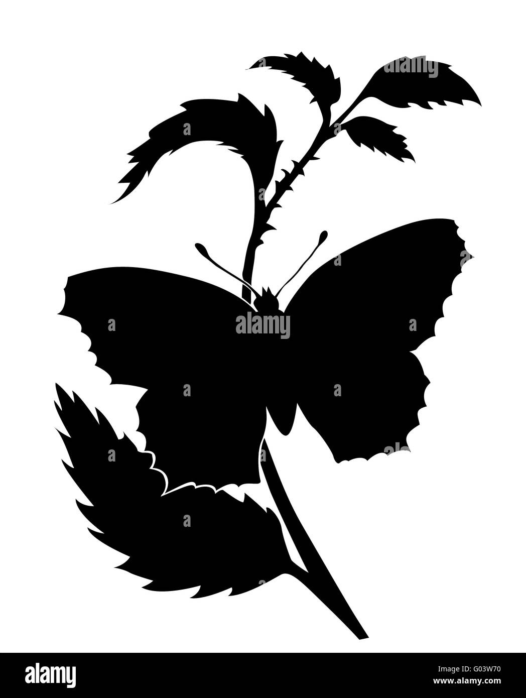Silhouette vecteur du papillon sur fond blanc Banque D'Images