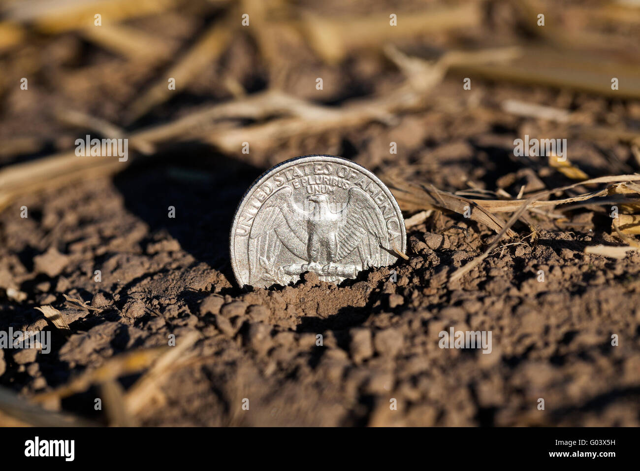 Pièce sur le terrain Banque D'Images