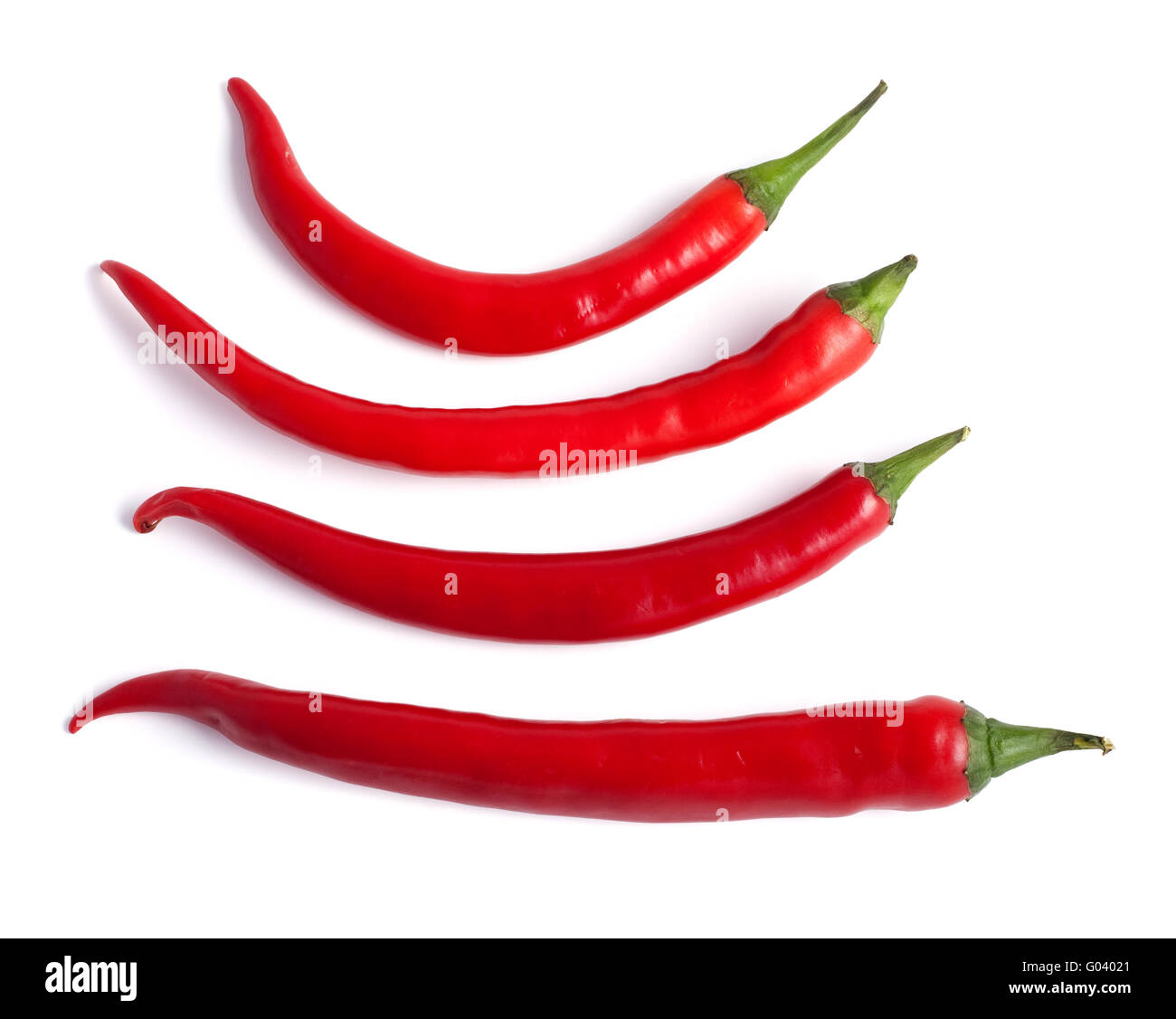 Red hot chili pepper Banque D'Images