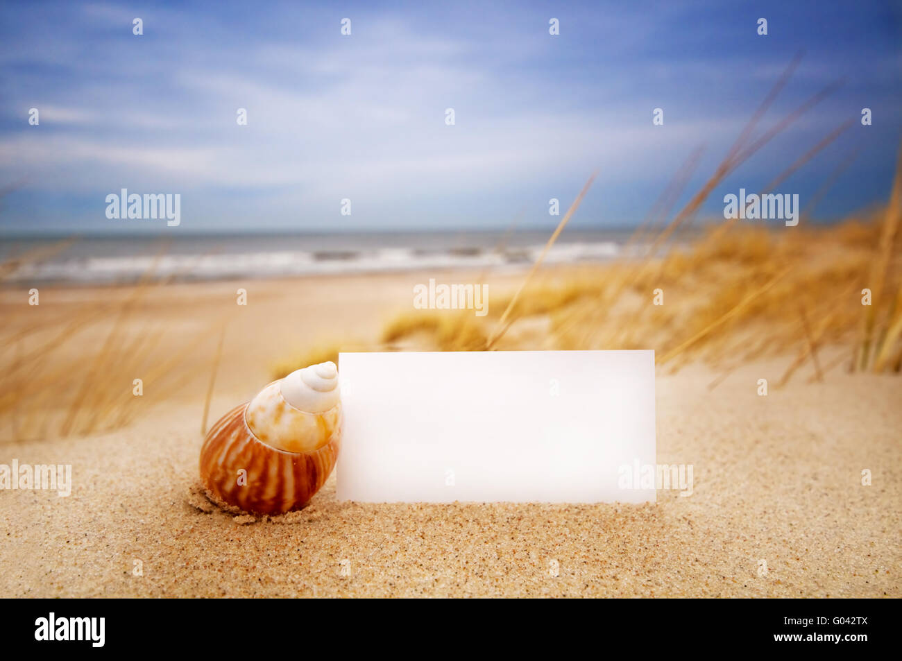 Carte blanche pour votre message et d'un shell sur une plage d'été Banque D'Images
