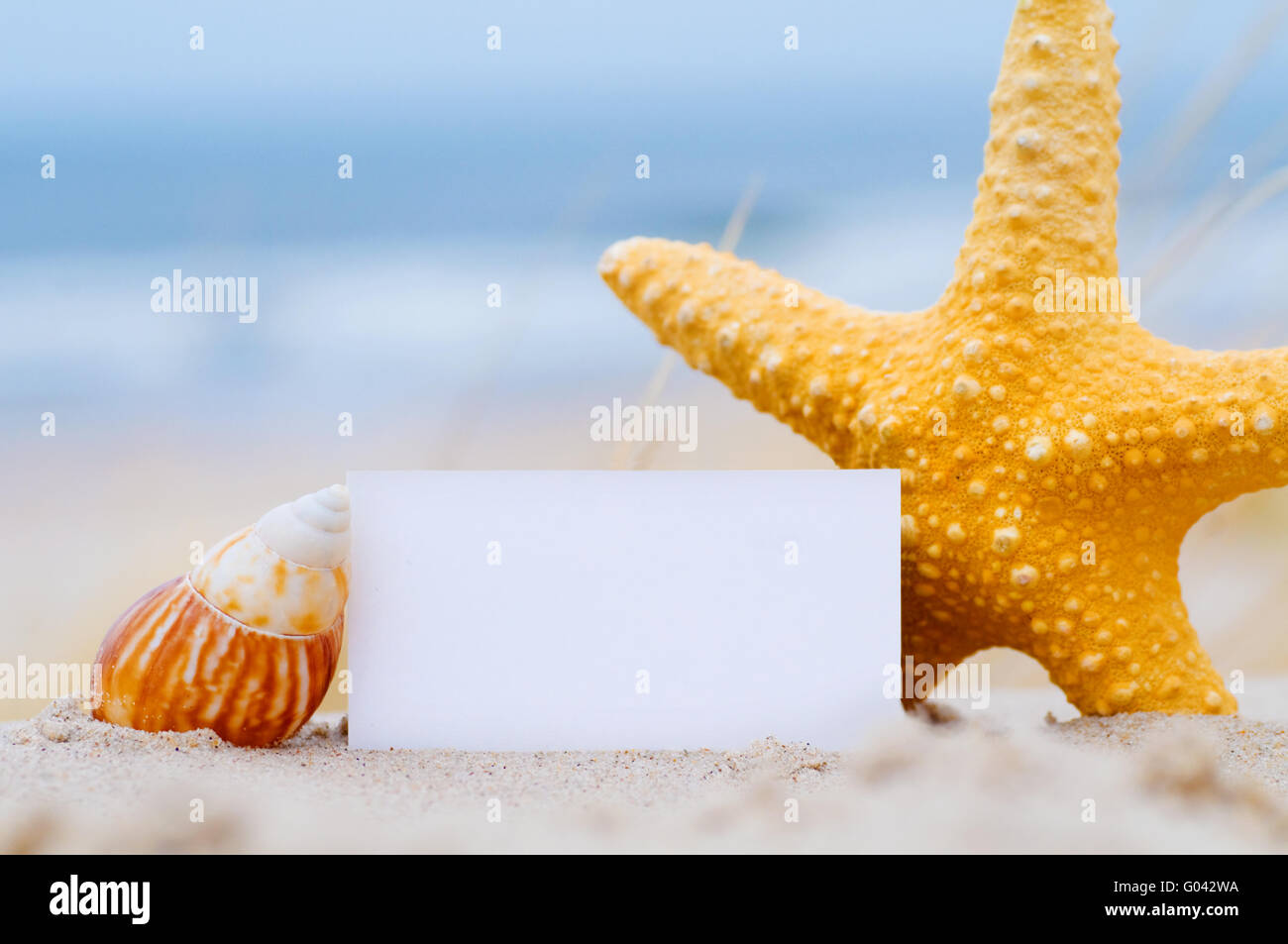 Carte blanche pour votre message avec l'étoile et shell sur la plage d'été Banque D'Images
