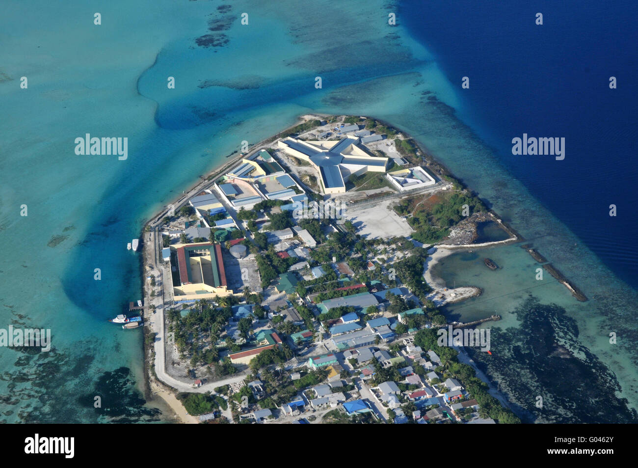 Les récifs coralliens, l'île, South Male Atoll, Maldives Banque D'Images