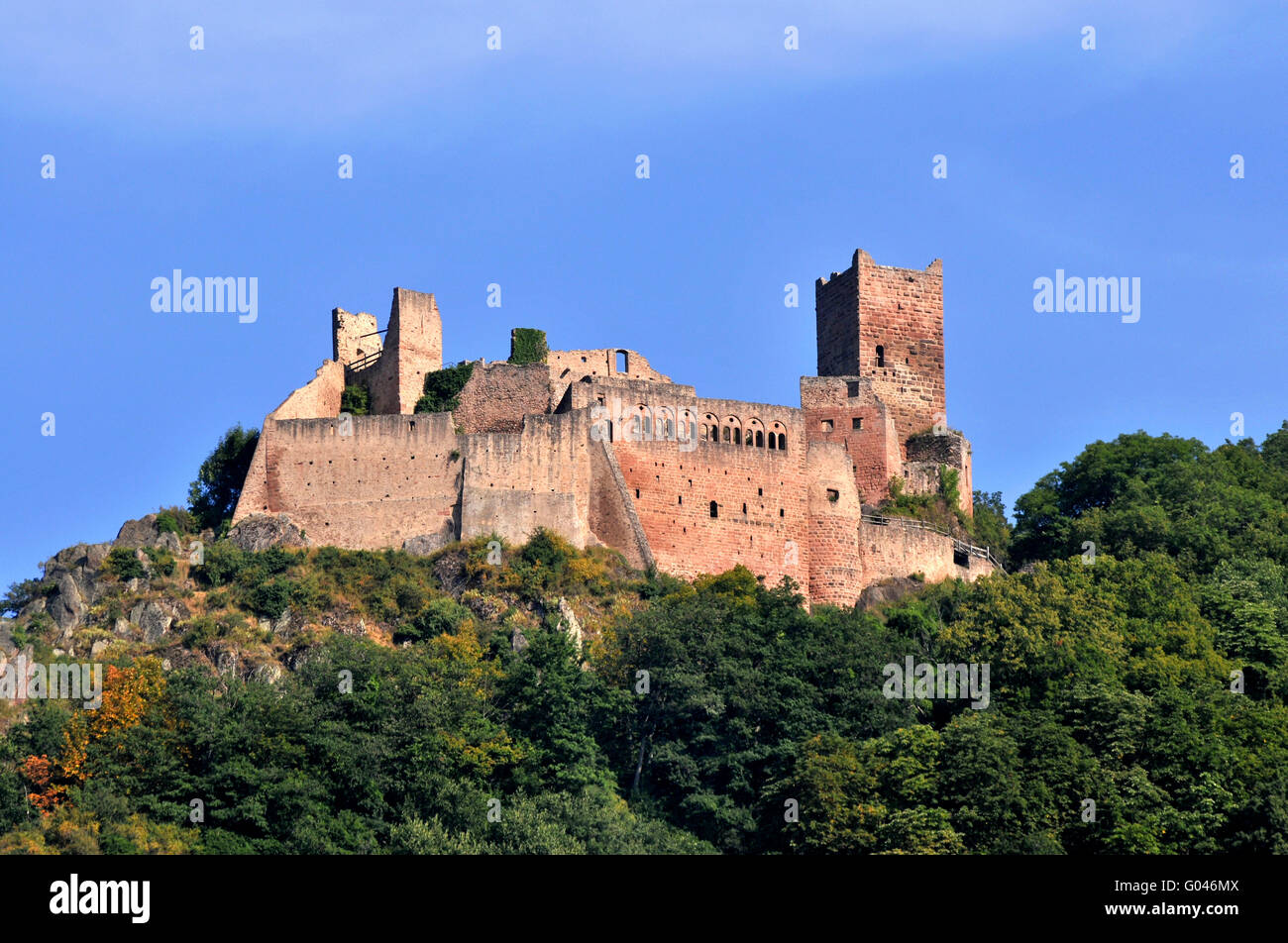 Château de Saint-Ulrich, Ribeauville, Alsace, France / Château de St Ulrich, Chateau de Grand-Ribeaupierre Banque D'Images
