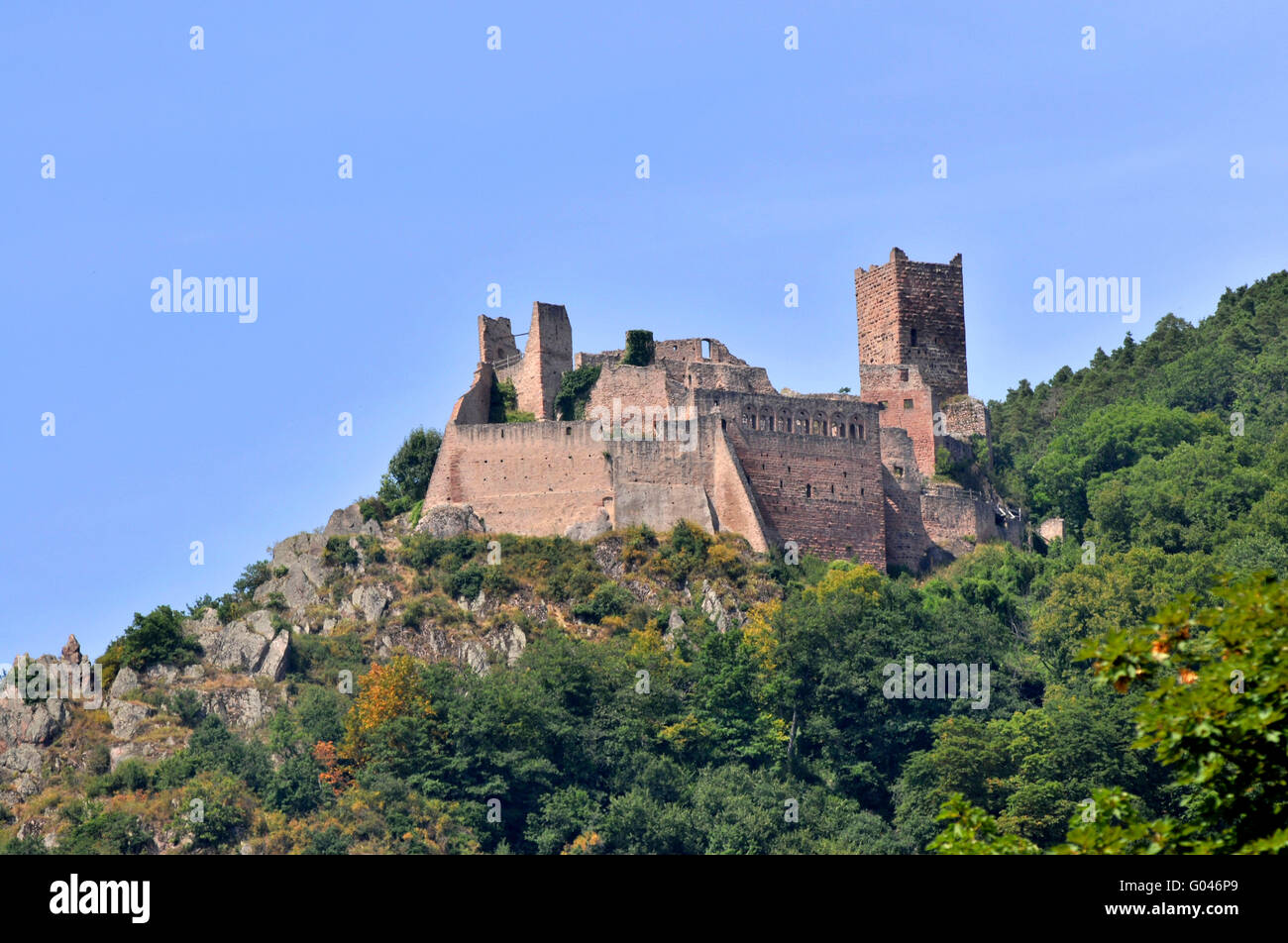 Château de Saint-Ulrich, Ribeauville, Alsace, France / Château de St Ulrich, Chateau de Grand-Ribeaupierre Banque D'Images
