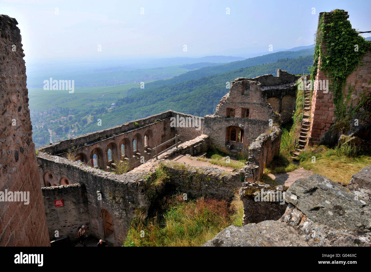 Château de Saint-Ulrich, Ribeauville, Alsace, France / Château de St Ulrich, Chateau de Grand-Ribeaupierre Banque D'Images