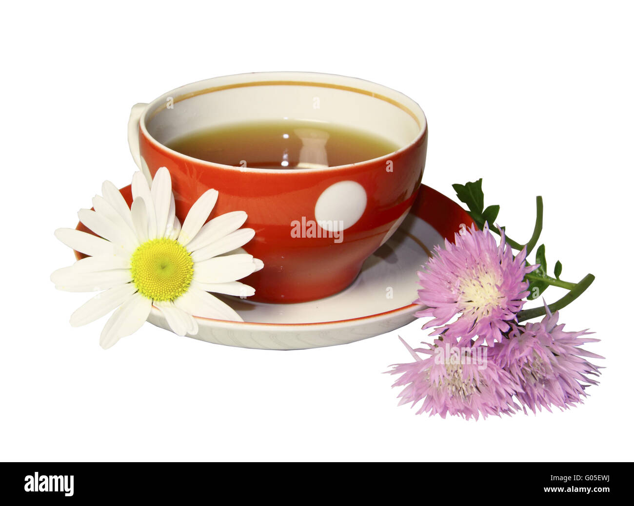 Une tasse de thé rouge avec une camomille et rose wild flo Banque D'Images