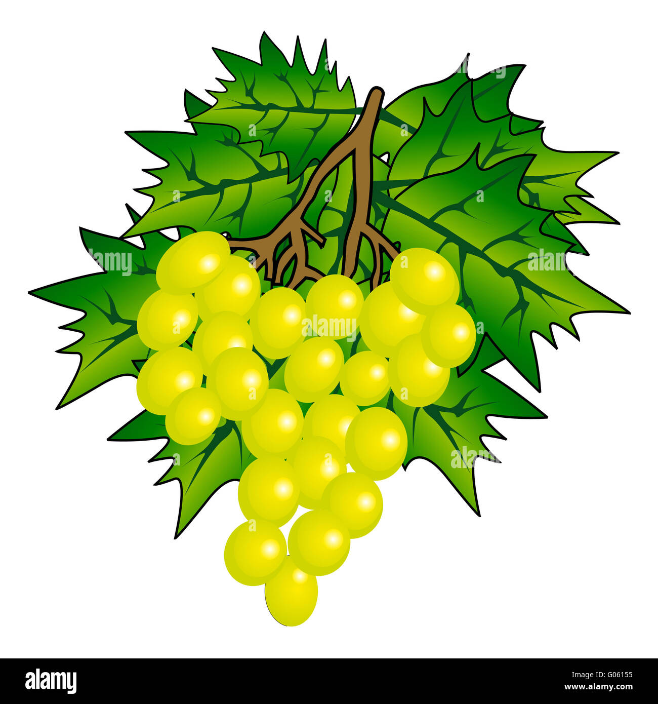 Grappe De Raisin Avec Des Feuilles De Vigne Isole Sur Fond Blanc Photo Stock Alamy
