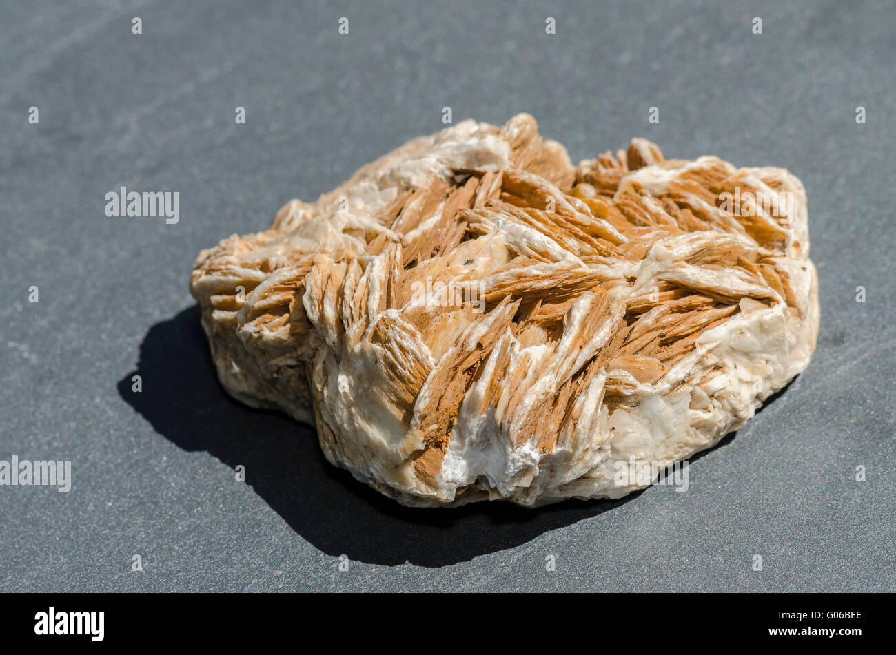 Desert rose sable Banque de photographies et d’images à haute — free download