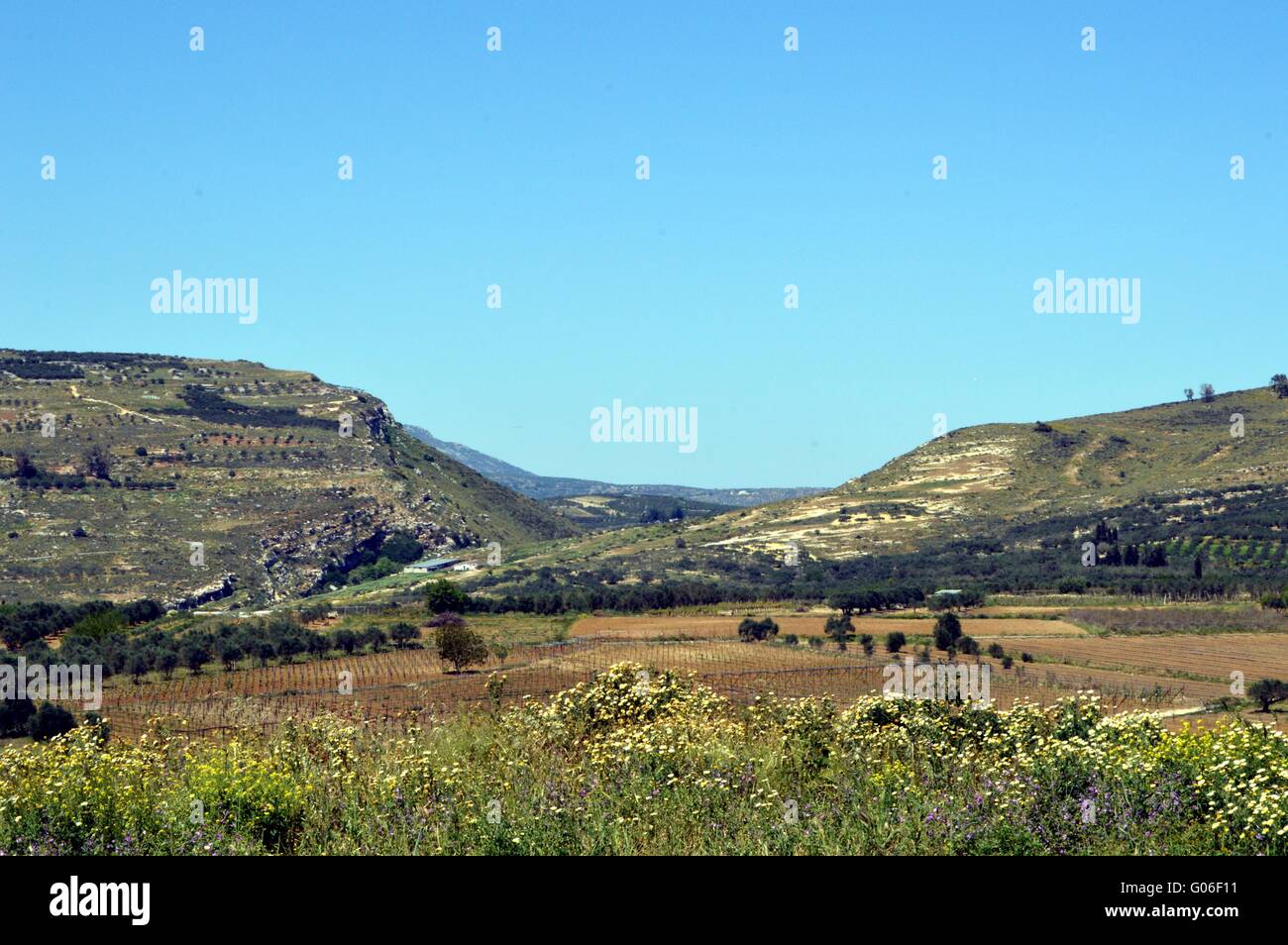 Vue sur la campagne Crétoise avec des collines et des cultures. Banque D'Images