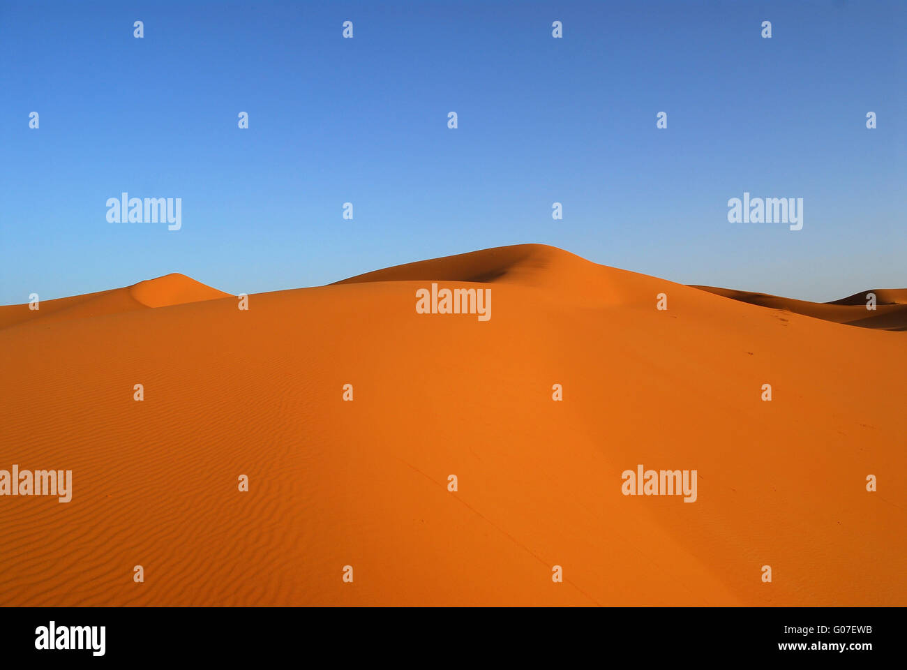 Les dunes du désert du Sahara Banque D'Images