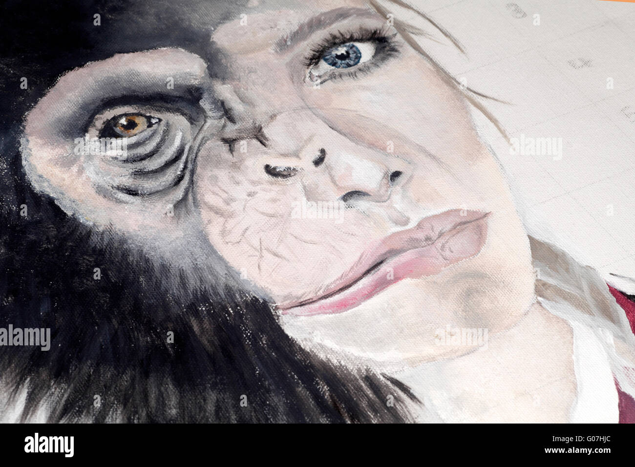 Le Morphing d'un chimpanzé et d'un visage féminin. Banque D'Images