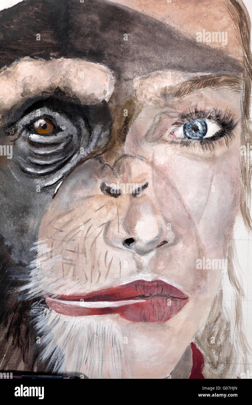 Le Morphing d'un chimpanzé et d'un visage féminin. Banque D'Images