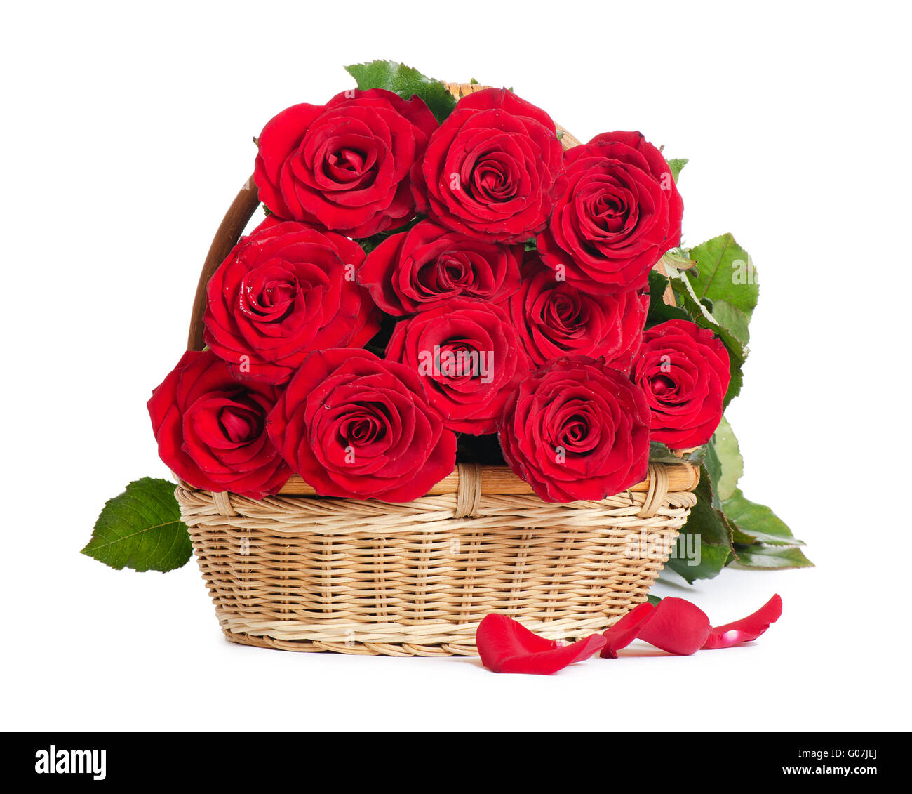 Bouquet de roses rouges isolé sur fond blanc Banque D'Images