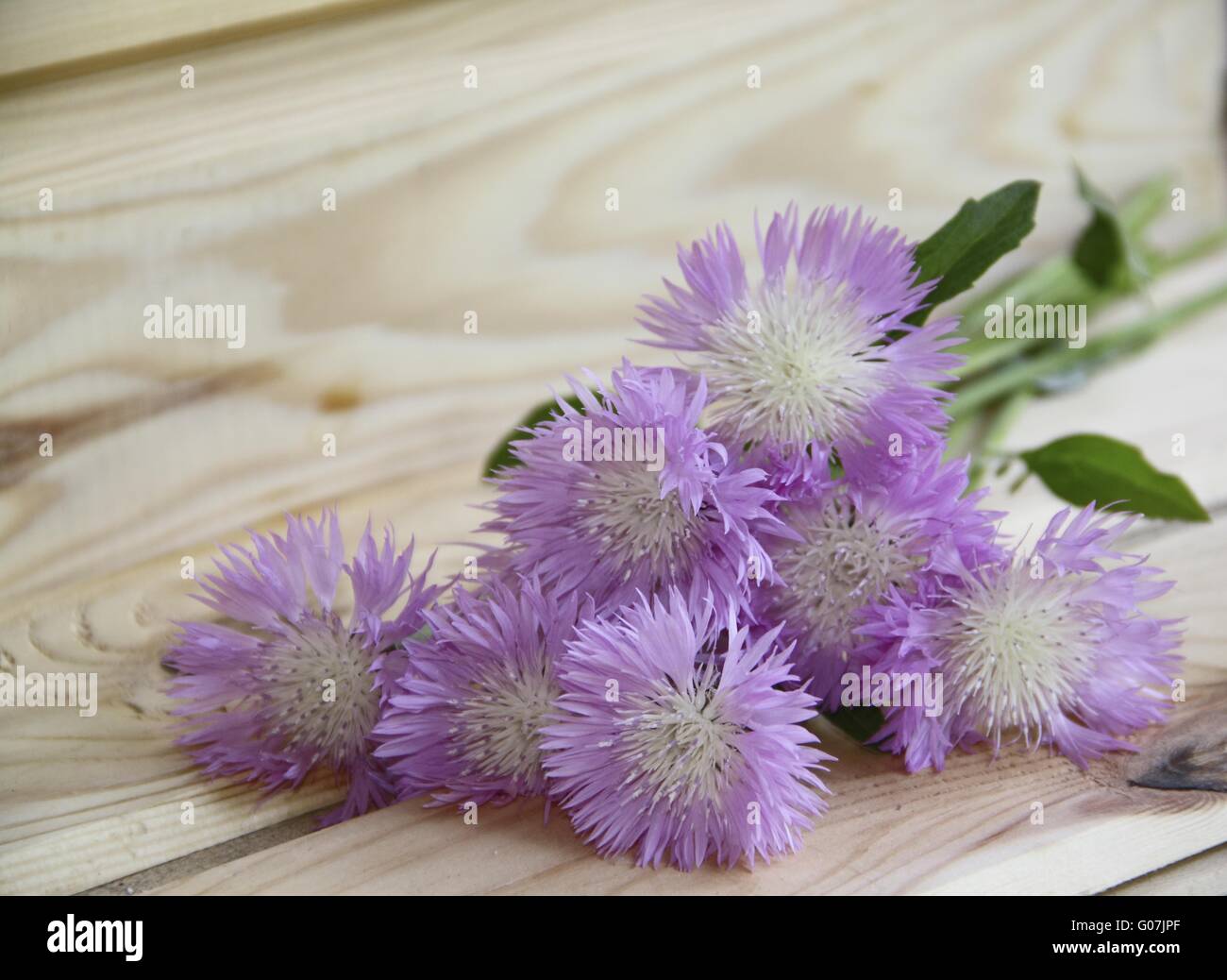 Bouquet de lilas de fleurs sauvages sur une table en bois Banque D'Images