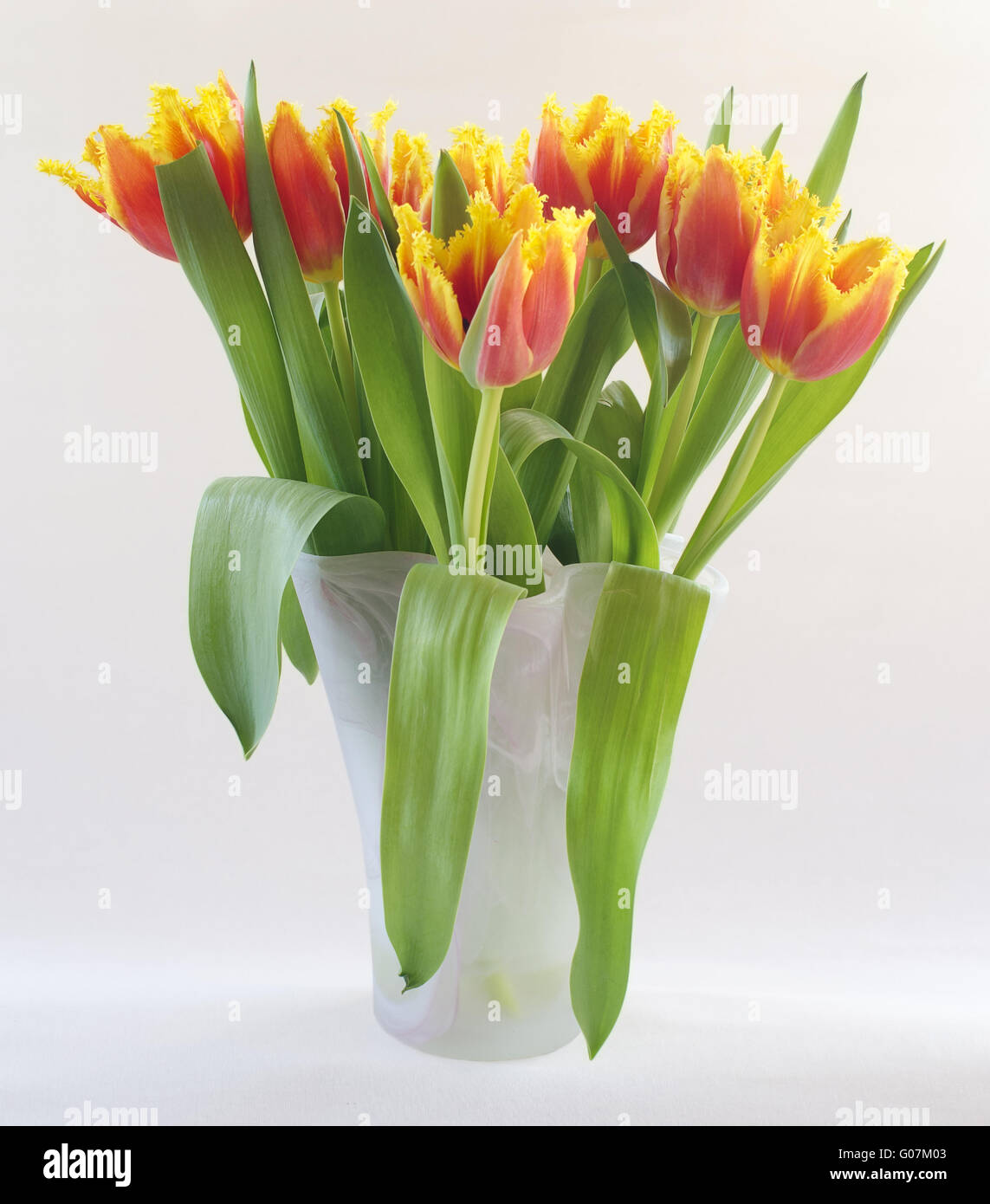 Orange-jaune parrot tulipes dans un vase de verre Banque D'Images