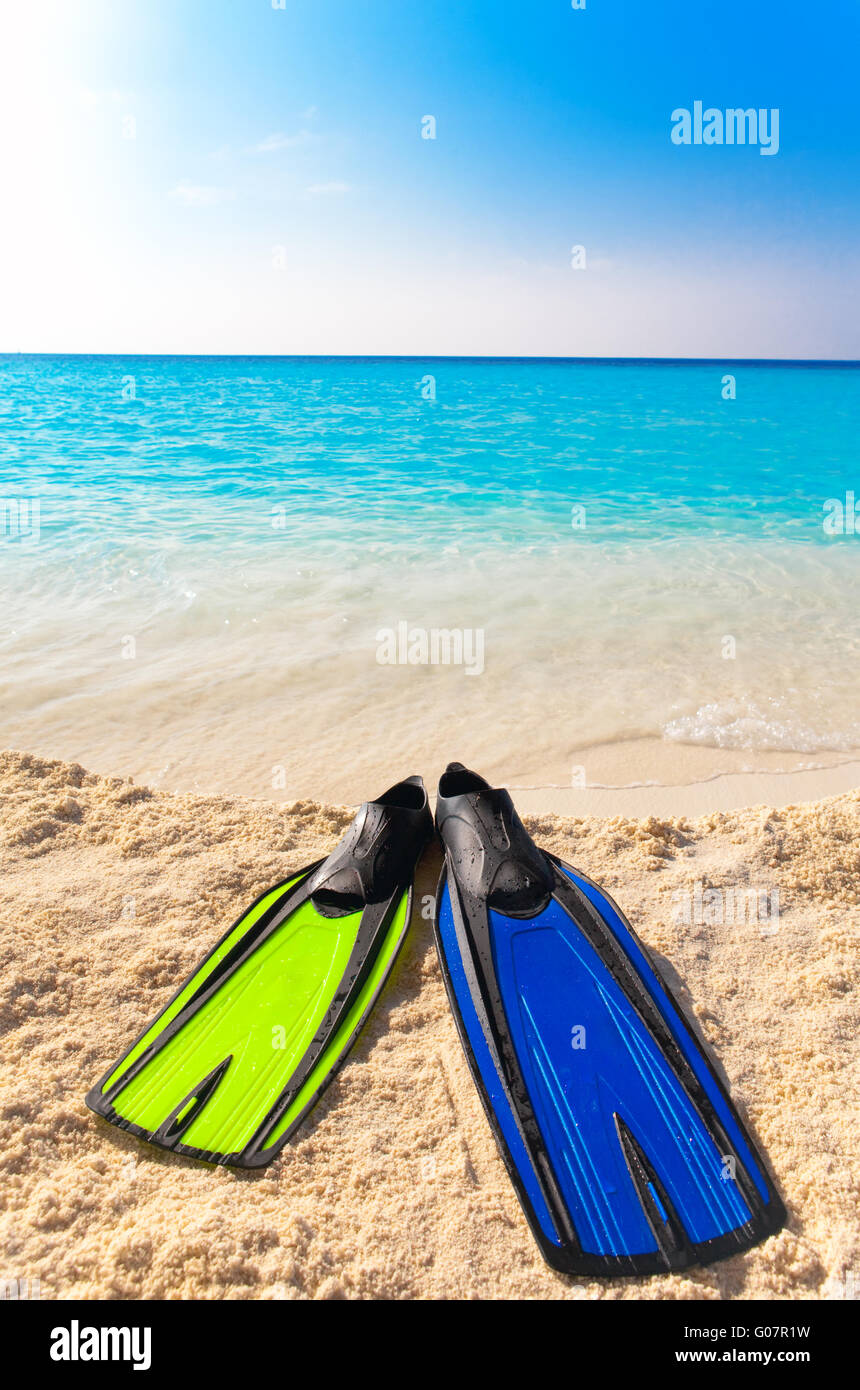 Différentes couleurs de palmes sur le sable au bord de la mer Banque D'Images