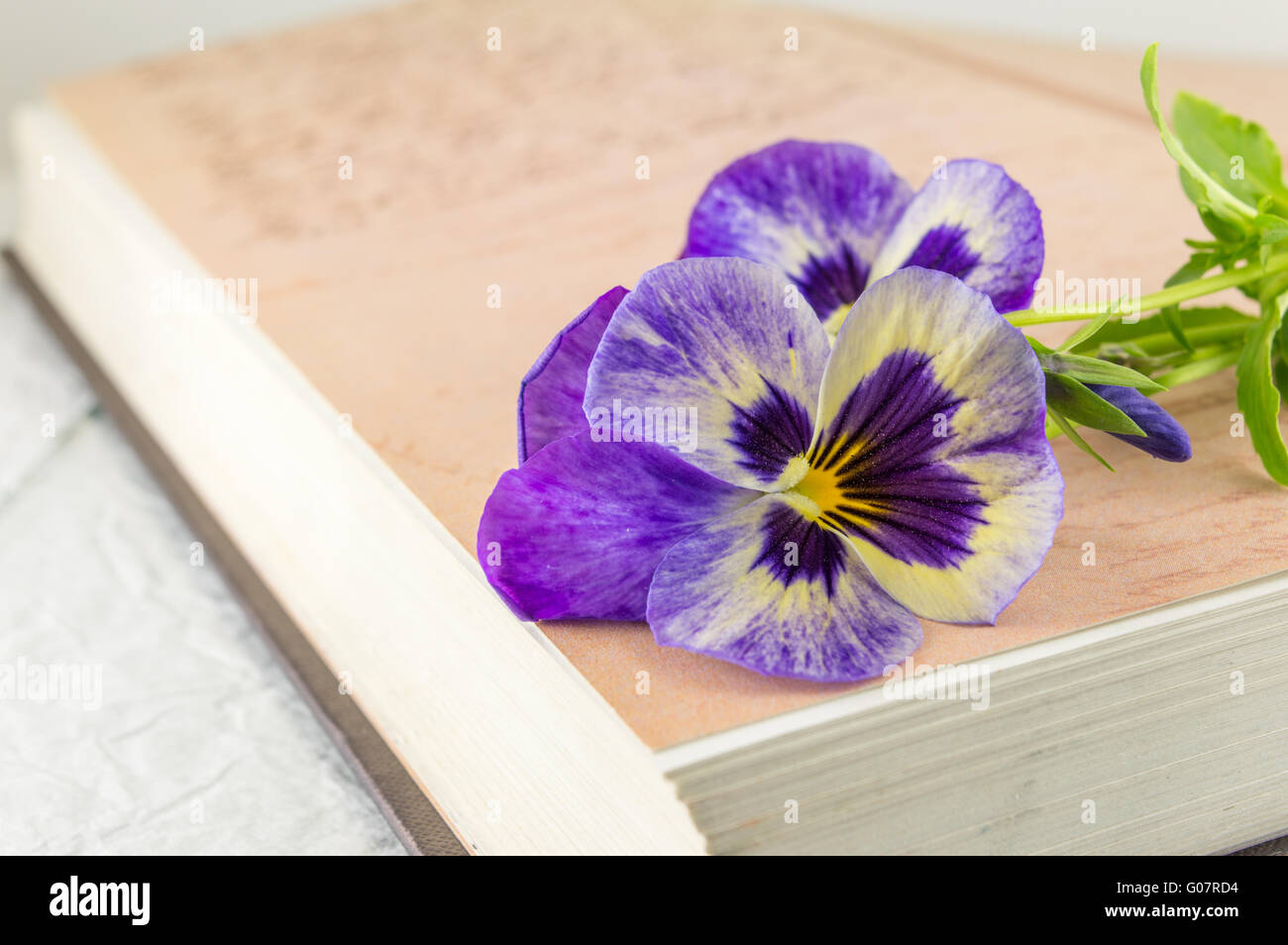 Fleurs fraîches sur le dessus d'un livre Banque D'Images