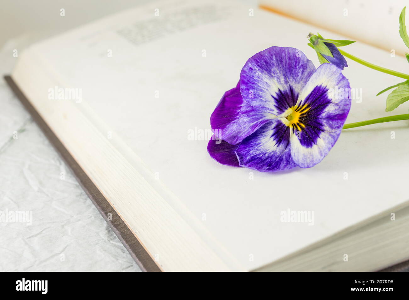 Fleurs fraîches sur le dessus d'un livre Banque D'Images
