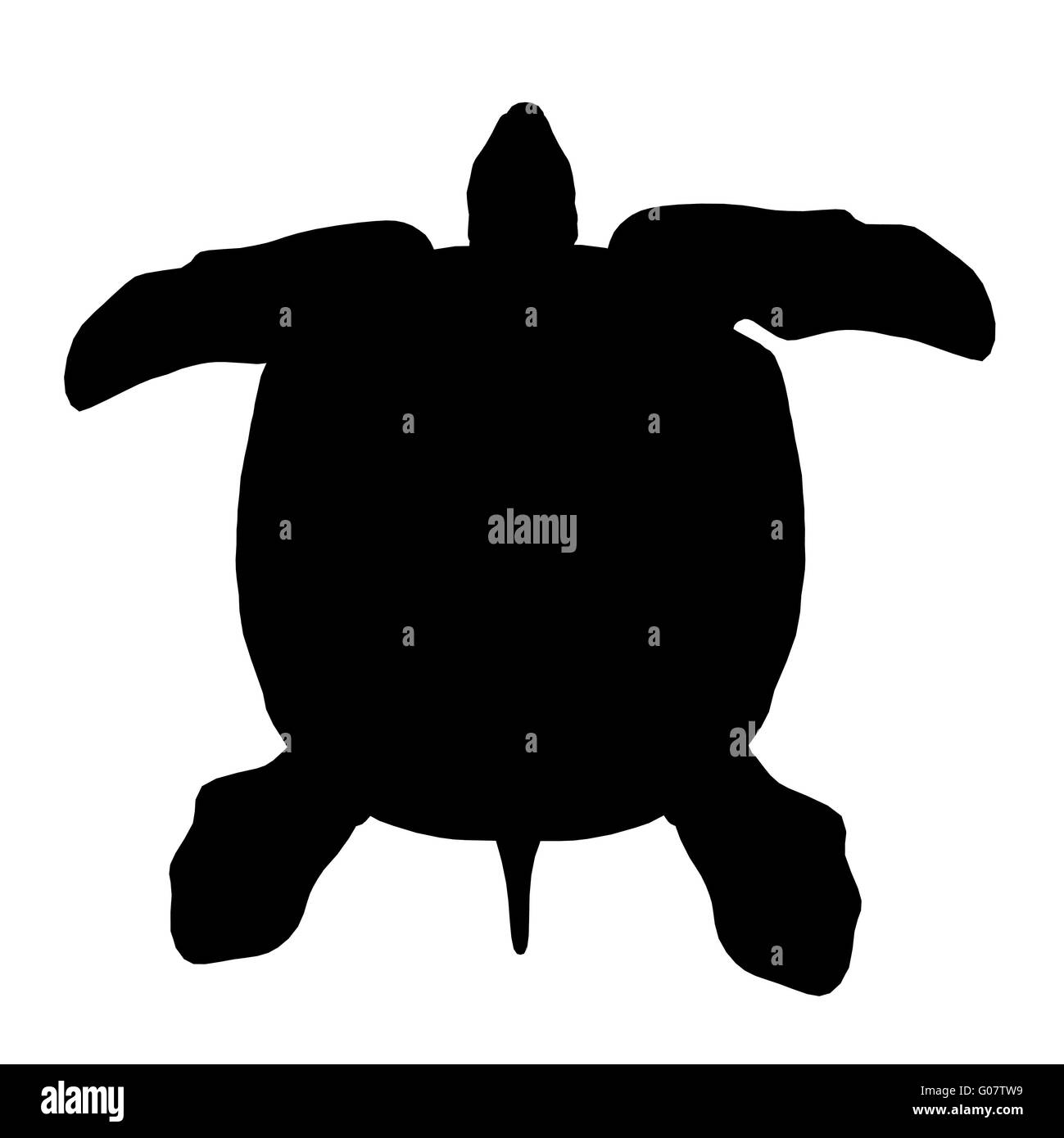Silhouette d'une tortue de mer Banque D'Images