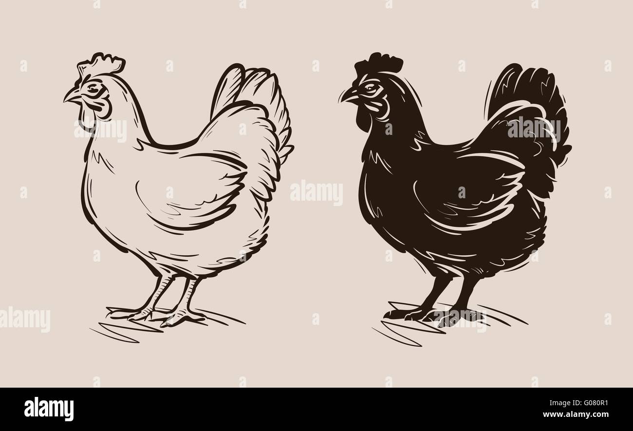 Logo vector poulet ferme., volailles, oiseaux, poule icon Illustration de Vecteur
