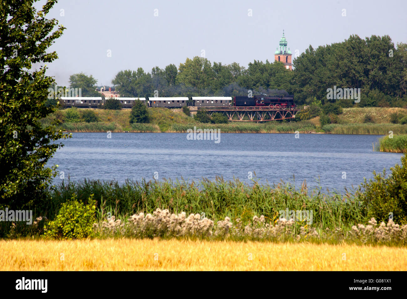 Train à vapeur vieux rétro en passant par comte polonais Banque D'Images