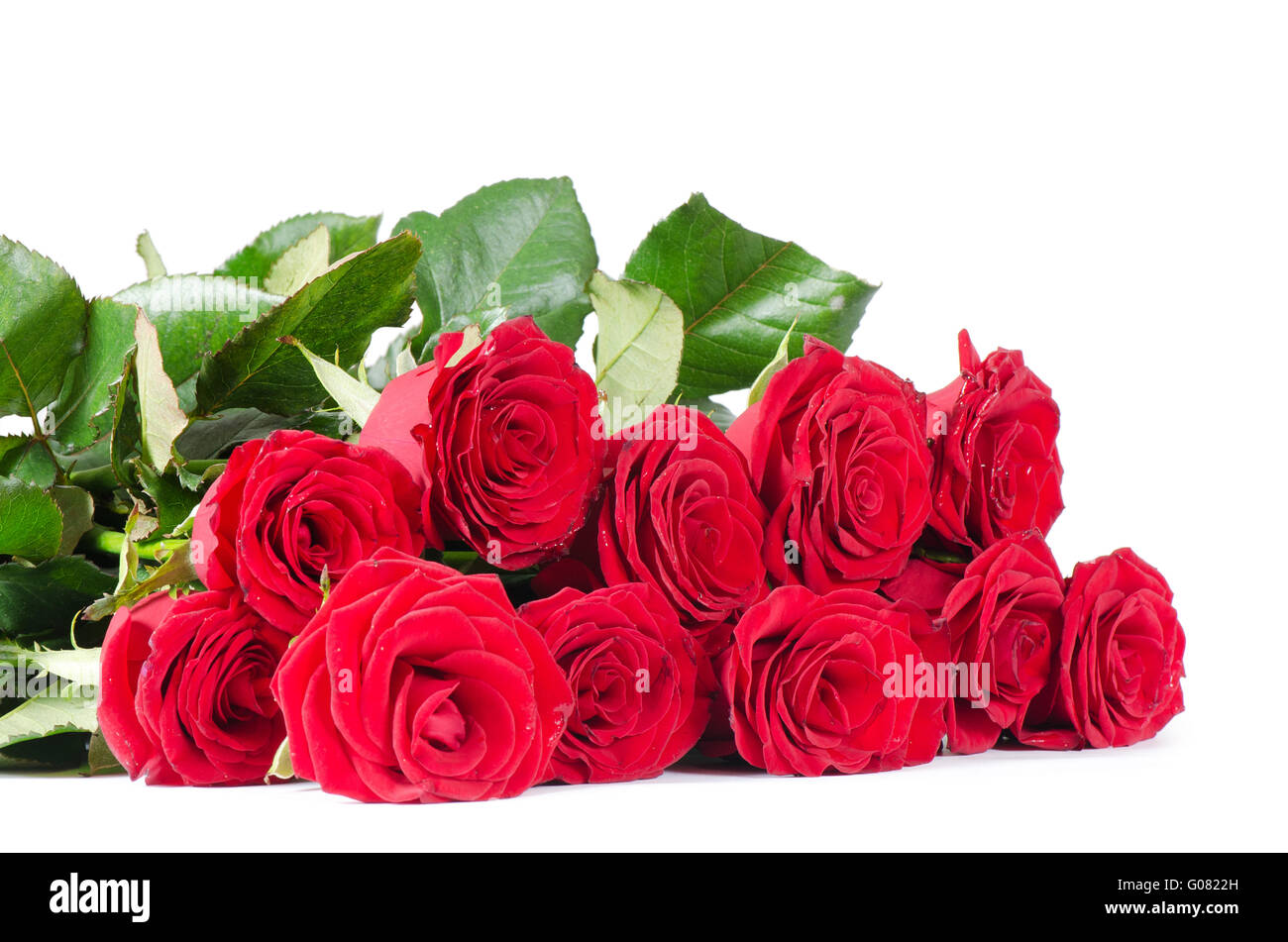 Bouquet de roses rouges isolé sur fond blanc Banque D'Images
