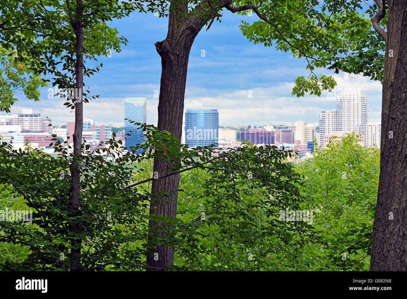 Grand Rapids, Michigan City skyline vue à travers le feuillage des arbres d'été luxuriant. Banque D'Images