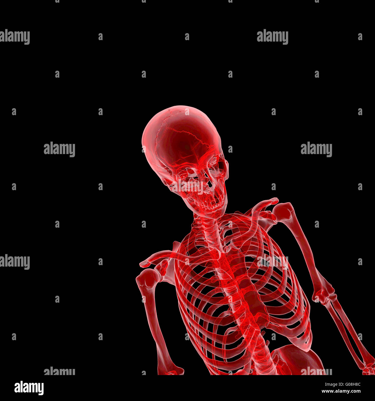 squelette humain Banque D'Images