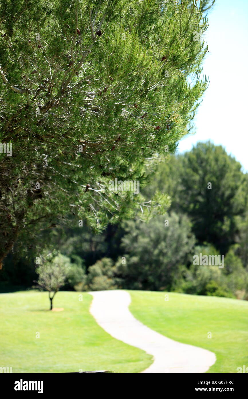 Route déserte sur une pelouse Banque D'Images