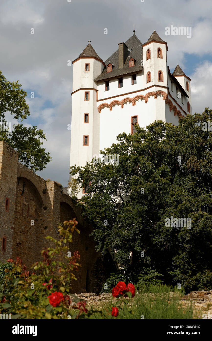 Château Eltville Banque D'Images