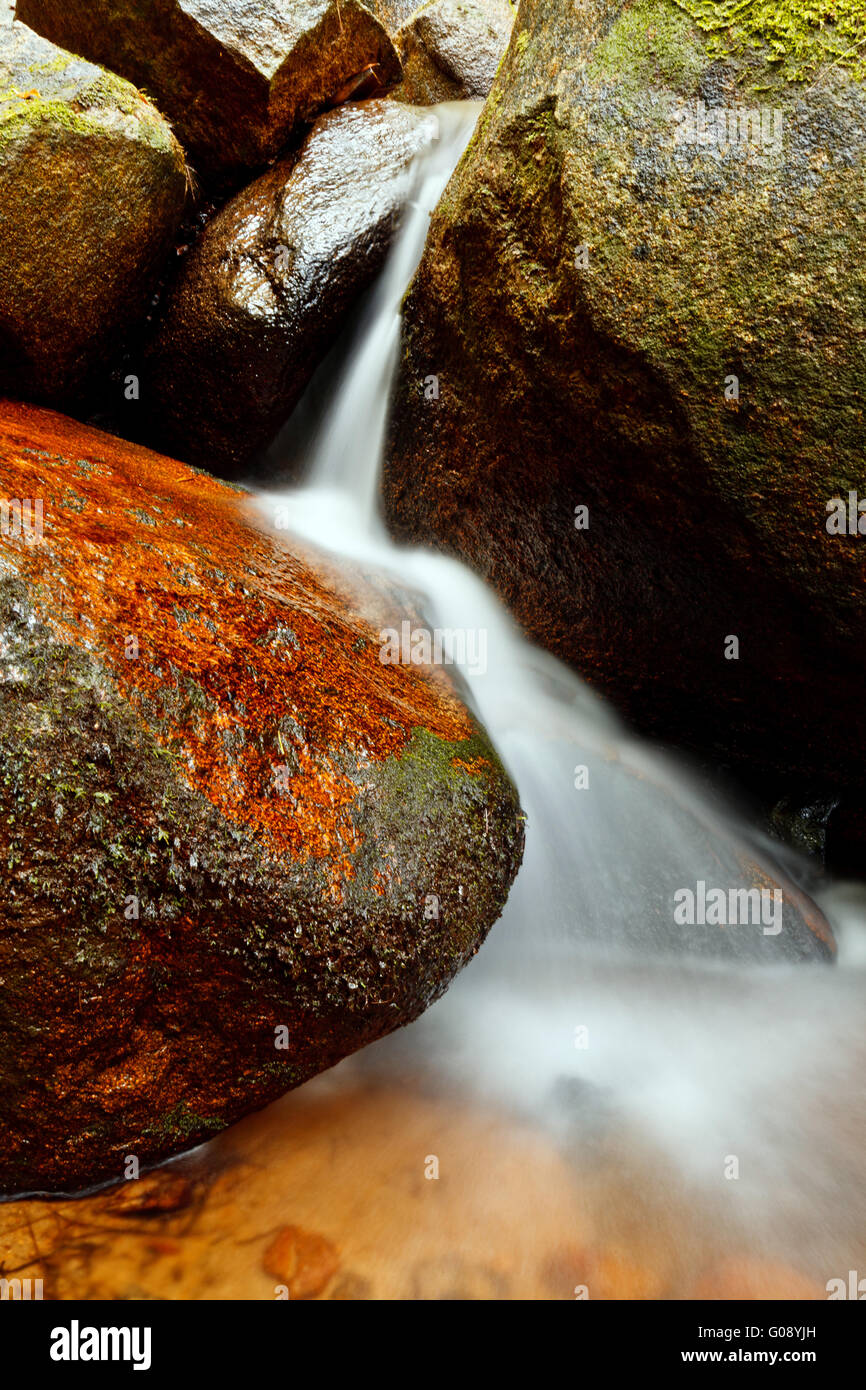 Petite chute d'eau naturelle. Banque D'Images