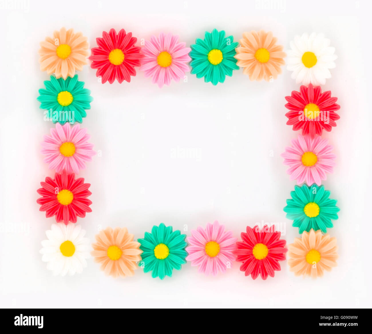 Fleurs multicolores sur un fond blanc. Banque D'Images