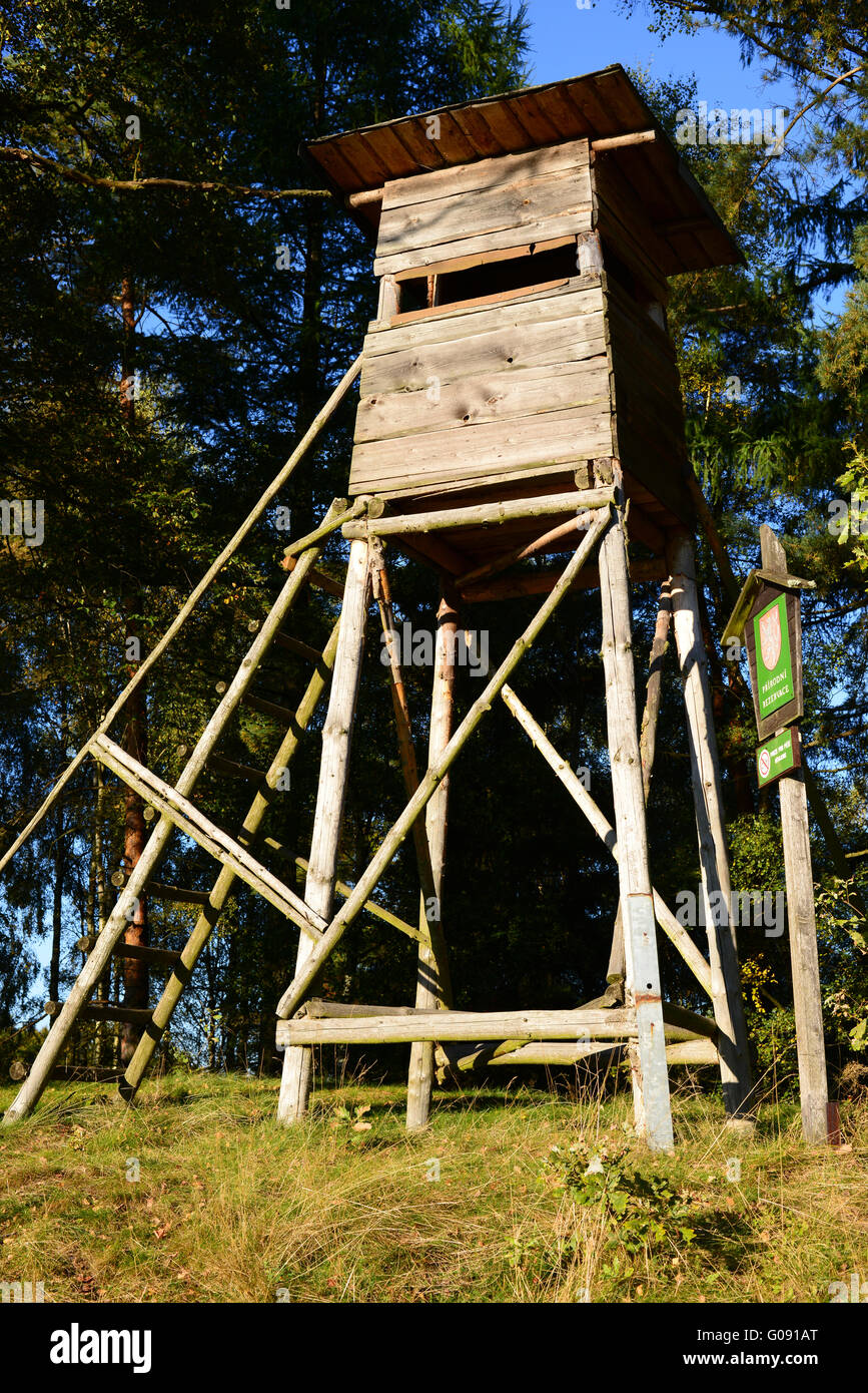 Stand de cerfs, des montagnes de grès de l'Elbe Banque D'Images