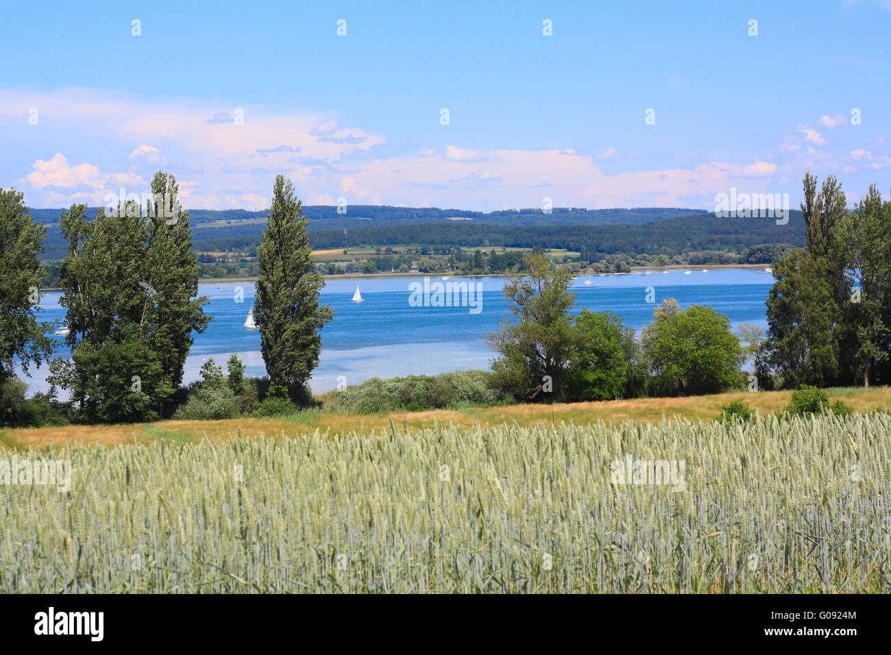 Beau paysage avec des nuages, arbres et champs Banque D'Images