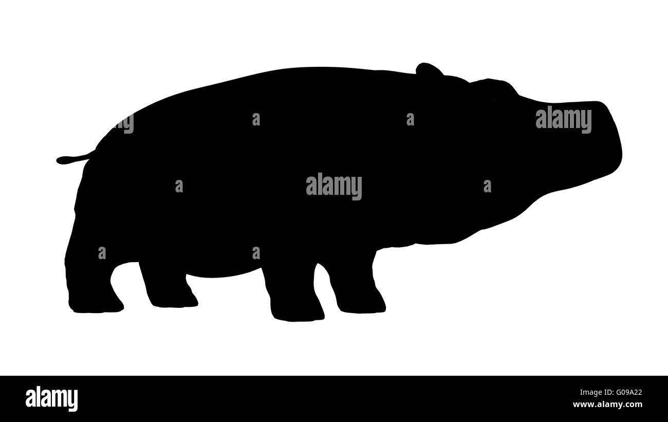 Silhouette d'un hippopotame Banque D'Images