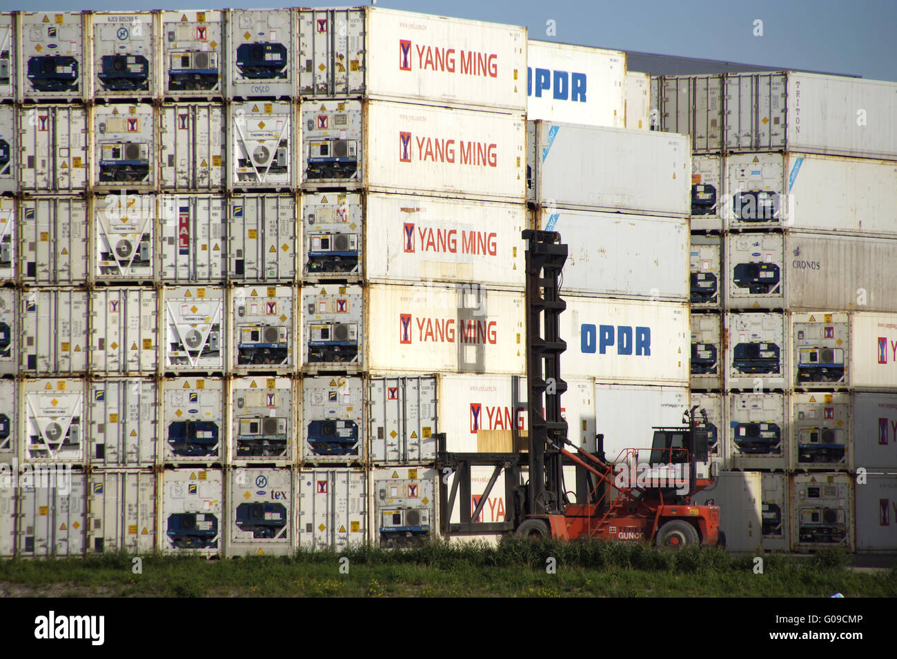 Pile de conteneur dans le port de Rotterdam Banque D'Images