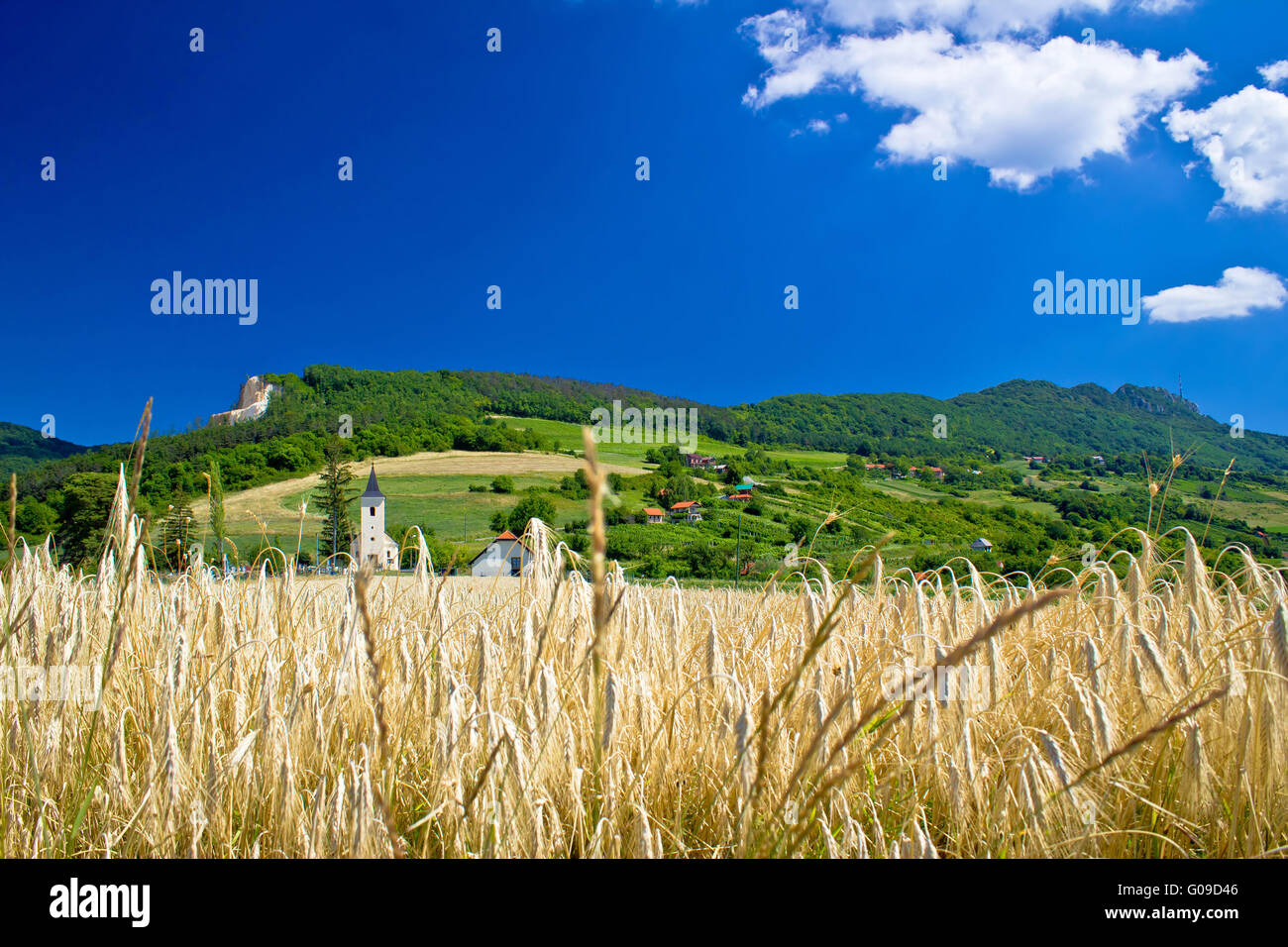 Agricole idyllique paysage de montagne de Croatie Banque D'Images