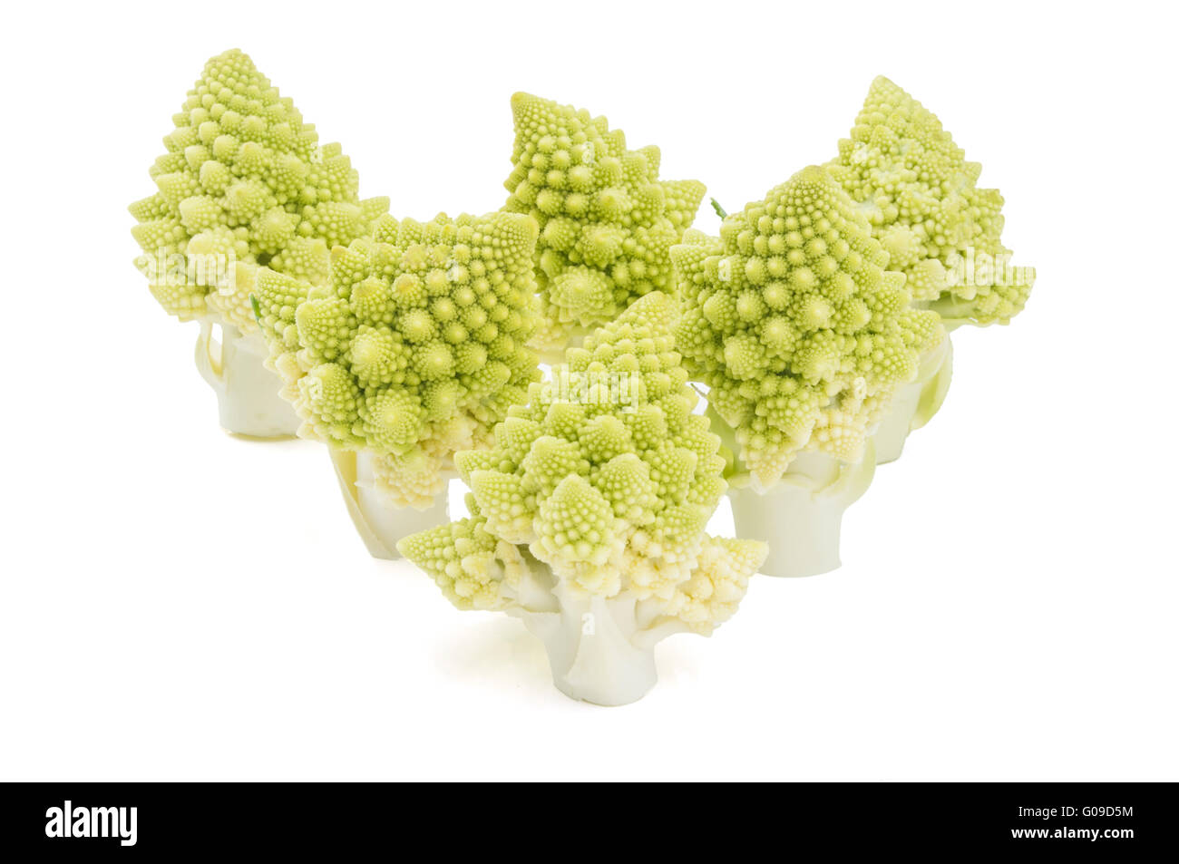Le brocoli romanesco fraîchement coupé (Brassica oleracea) morceaux sur un fond blanc Banque D'Images