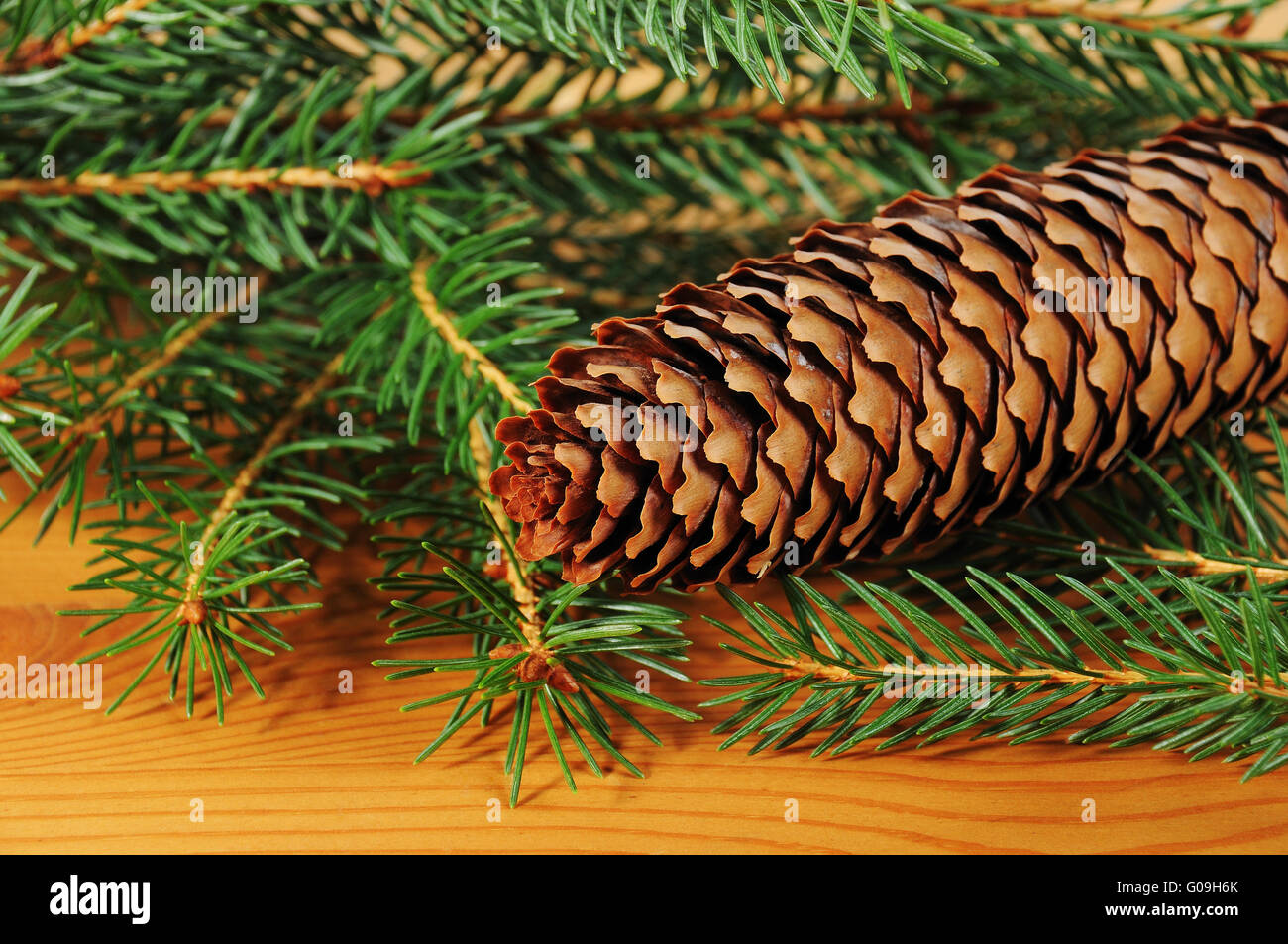 Temps de l'avent avec décoration sapin branch Banque D'Images