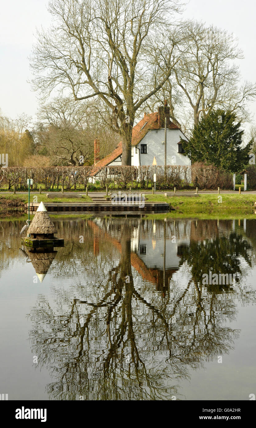 Berkshire - Hurst village - l'étang du village - arbres - cottages - Réflexions - Refuge d'oiseaux de chaume - début du printemps soleil Banque D'Images