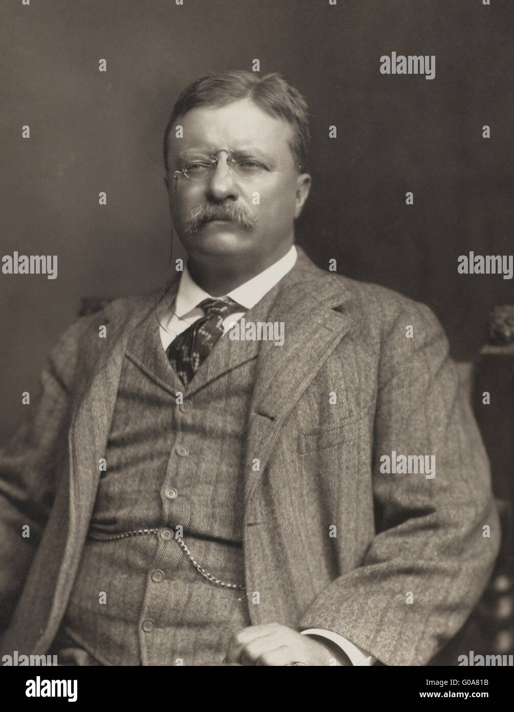Theodore Roosevelt, half-length portrait, assis, en face légèrement à gauche Banque D'Images
