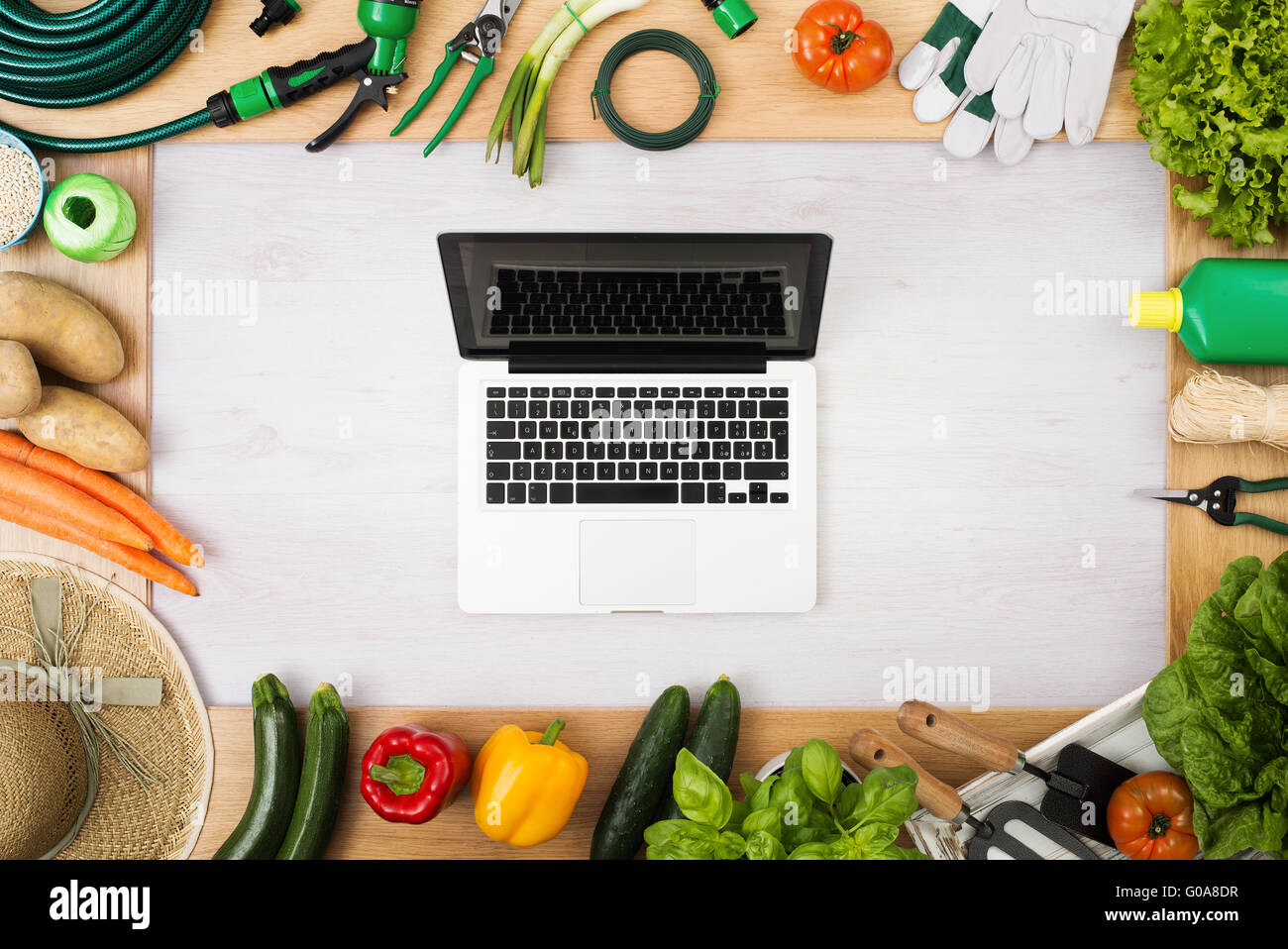 Outils de jardinage et des légumes frais de la rédaction d'une trame, ordinateur portable au centre, vue du dessus Banque D'Images
