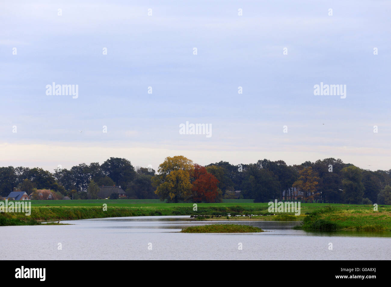 Réserve de la biosphère de l'Elbe, Brandenburg, Allemagne Banque D'Images