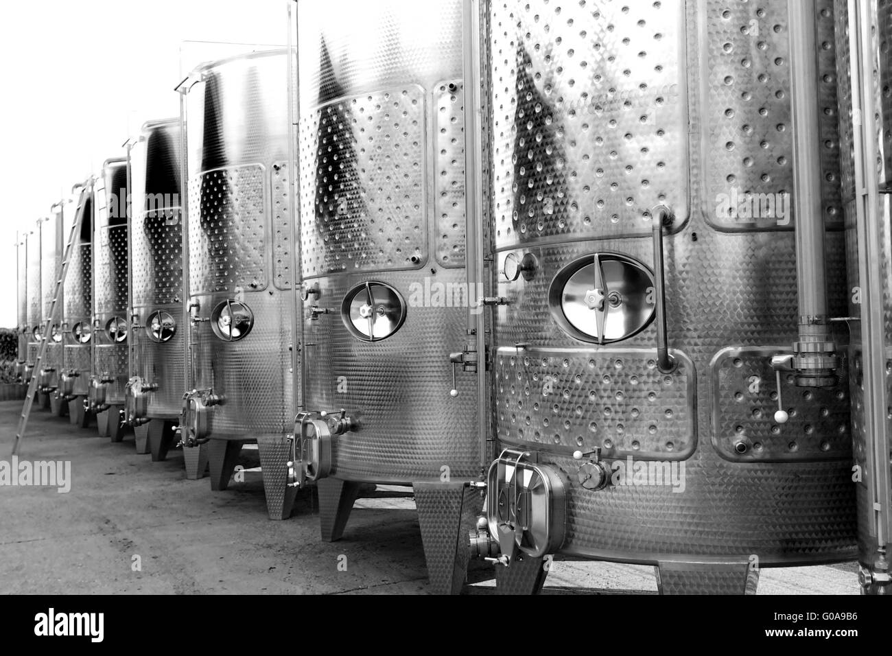 L'aluminium moderne barils où le jus de raisin en vin est vieilli Banque D'Images