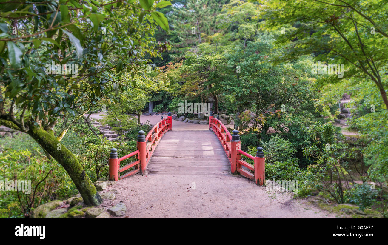 Momiji dani Banque de photographies et d’images à haute résolution Alamy