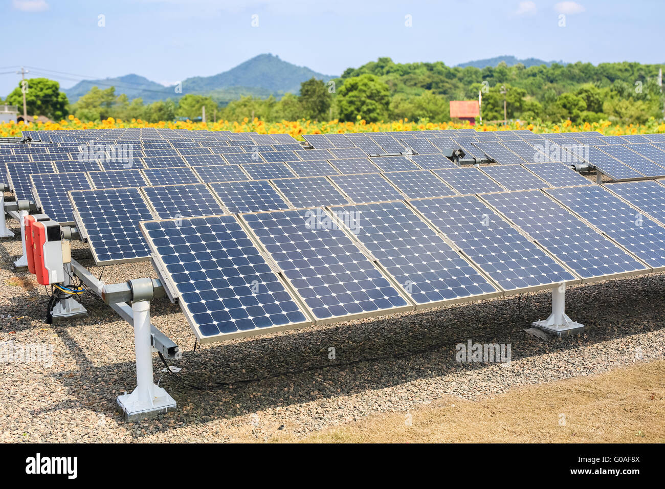 Les panneaux solaires et l'arrière-plan des terres agricoles de tournesol Banque D'Images