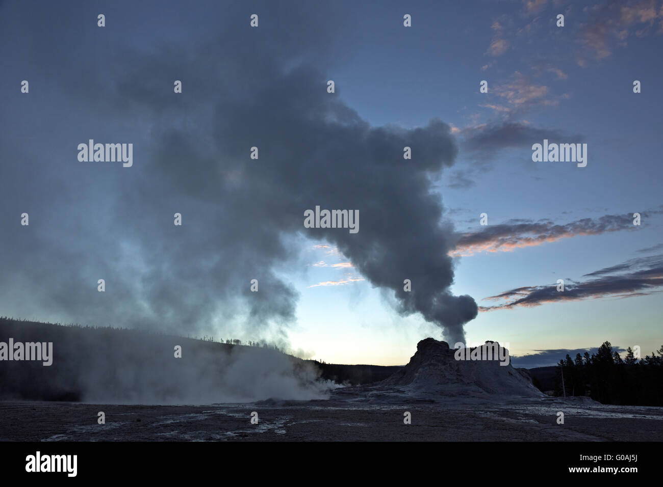 WY01580-00...WYOMING - Castle geyser se préparer à une éruption tôt le matin dans le Parc National de Yellowstone. Banque D'Images